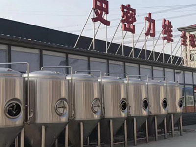 揭阳精酿啤酒设备厂—市场规模与跨界新需求